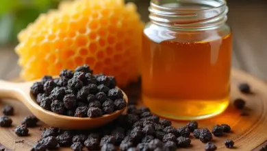 propolis účinky a jak ho používat – Propolis: účinky, dávkování a správné použití v praxi