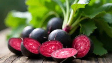 černá ředkev pěstování a využití – Jak pěstovat černou ředkev a využít její přednosti