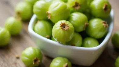 angreštový kompot recept a postup - Jak připravit angreštový kompot: recept a postup