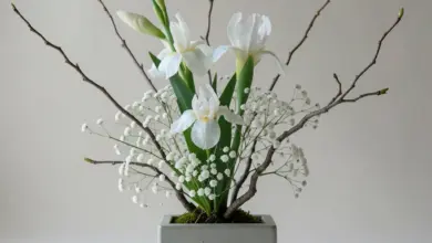 aranžování květin ikebana jak na to - Jak na aranžování květin ikebana: Kompletní průvodce pro začátečníky