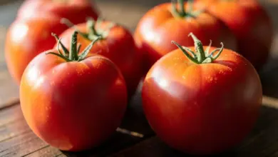 Jak udělat domácí kečup jako od babičky: recept a rady