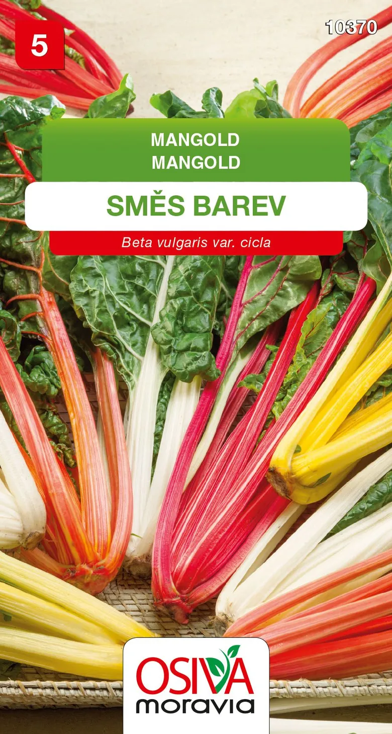 Různé barvy řepy mangold na pleteném podkladu