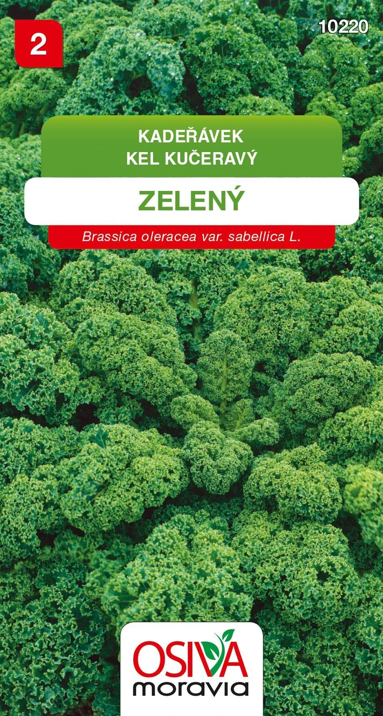 Zelená kapusta kadeřavá na sadbě s logem osivářské firmy.