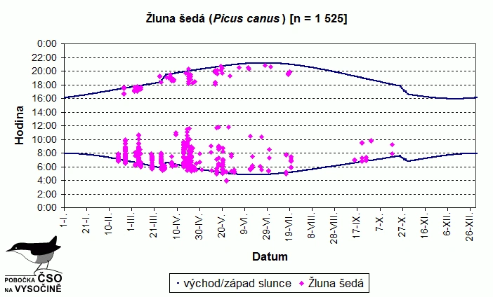 Graf aktivity žluny šedé v průběhu roku