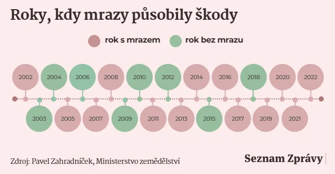 Infografika o letech, kdy mrazy způsobily škody.