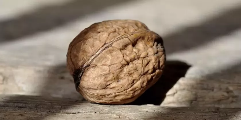 Ořešák na dřevěném povrchu v přírodním světle