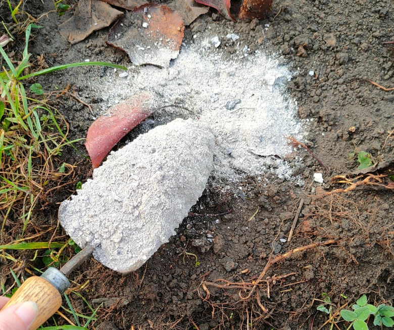 Popel rozsypávaný na zem jako hnojivo