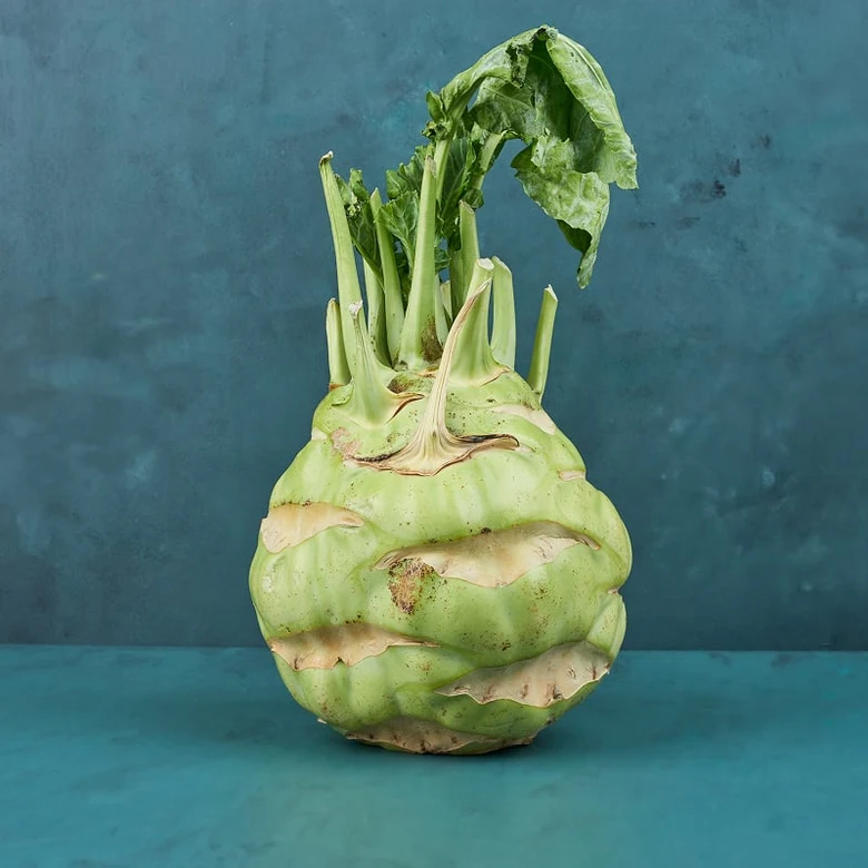 Kohlrabi, zelenina pro psa, bezpečná nebo nebezpečná?