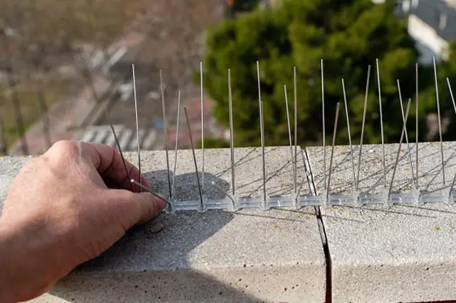 Instalace kolíků proti holubům na balkoně