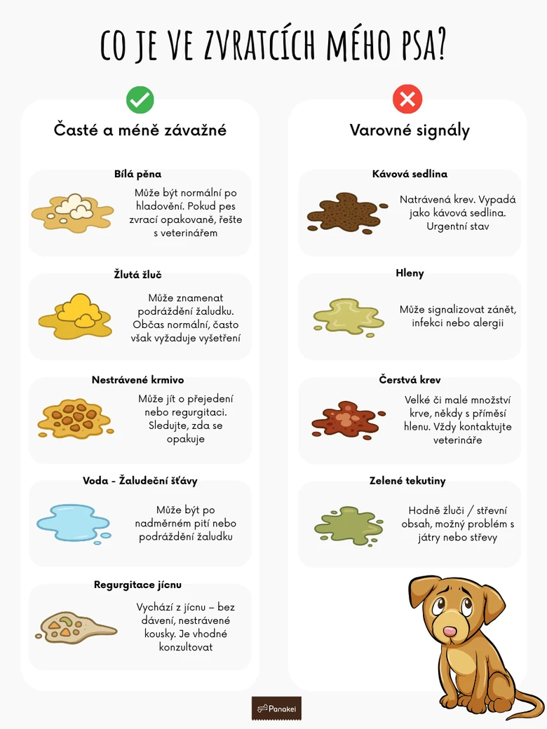 Infografika o zvracení psa, včetně krvavého zvracení