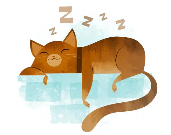 Spící kočka s písmeny Zzz nad hlavou
