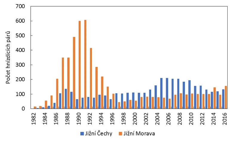 Graf počtu hnízdicích párů kormorána velkého v Jižních Čechách a na Jihomoravsku.
