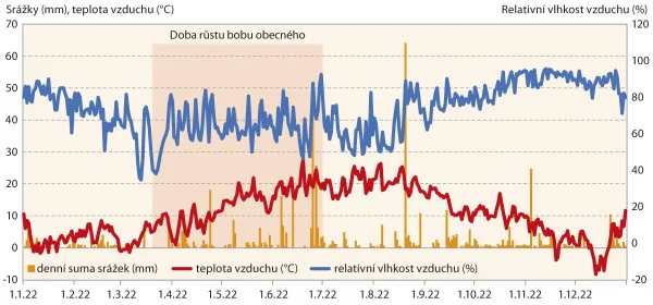Graf teplot a srážek během růstu bobu obecného