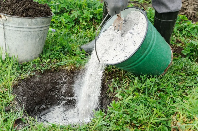 Lidé přidávají popel do země jako hnojivo