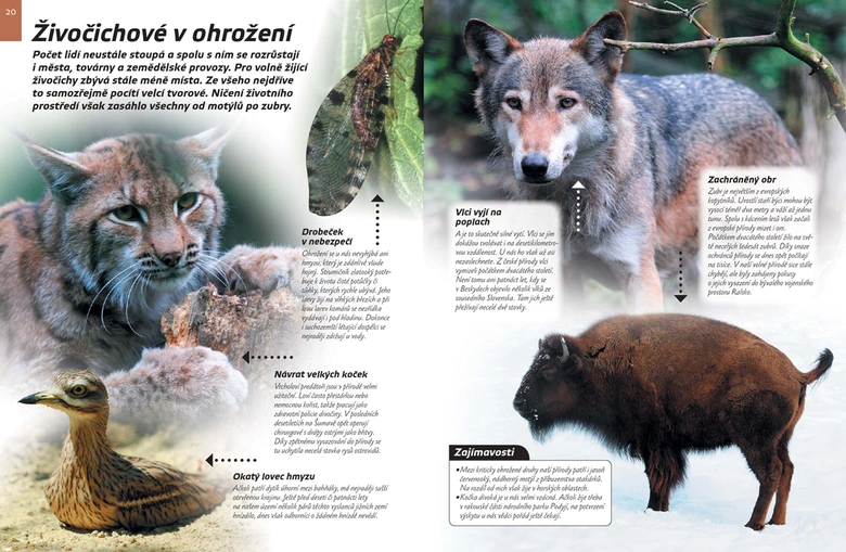 Zvířata v ohrožení: liška, kozlík, kůň a jiná zvířata