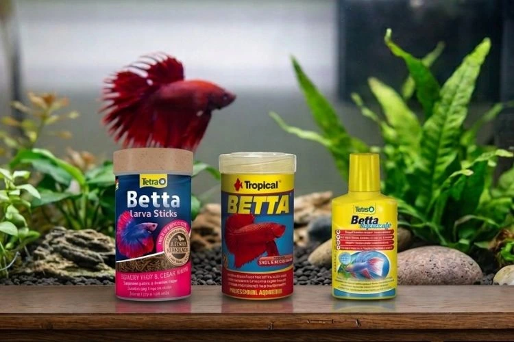 Produkty krmiva pro bettu v akváriu