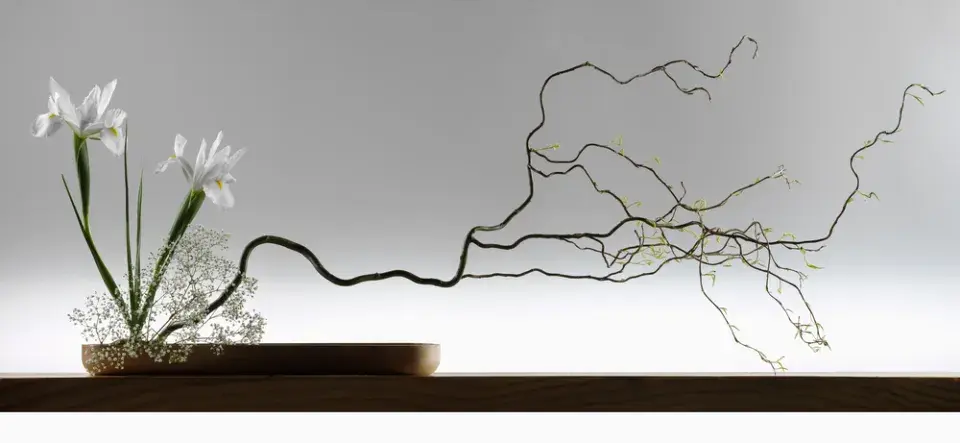 Tradiční aranžování květin ikebana s bílými orchidejemi.