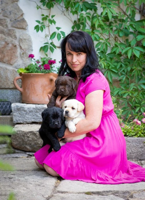Žena drží tři štěňata labradora venku v zahradě.