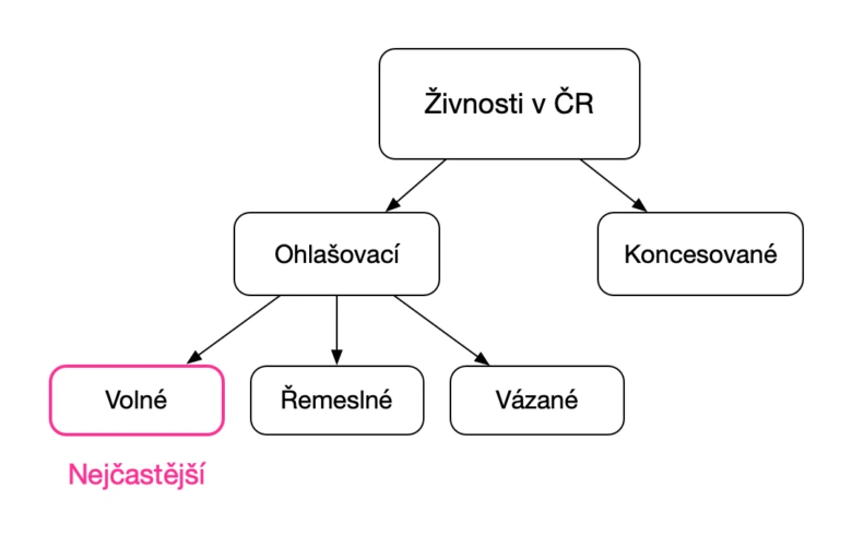 Schéma typů živností v ČR s důrazem na volné povolání