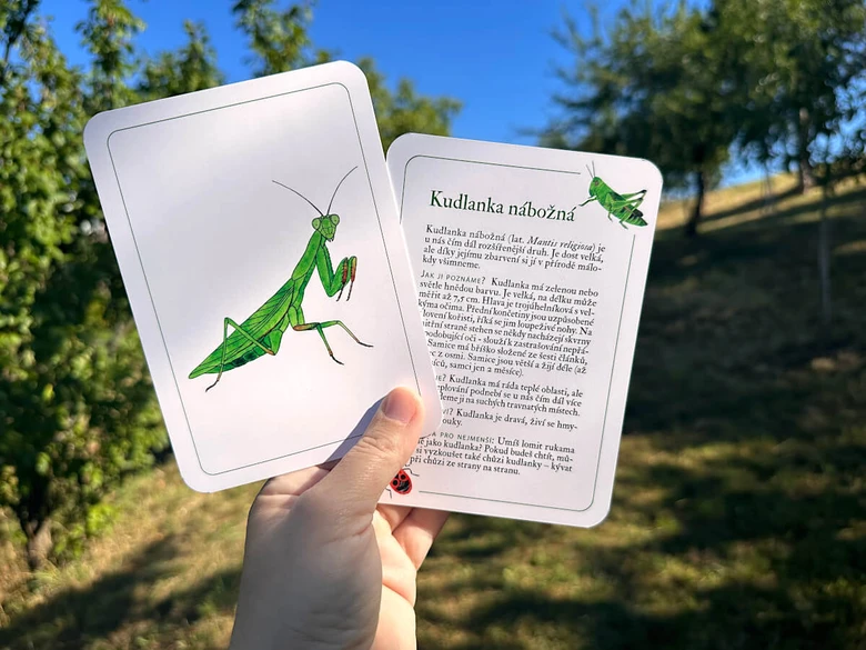 Karta s informacemi o kudlance nábožné