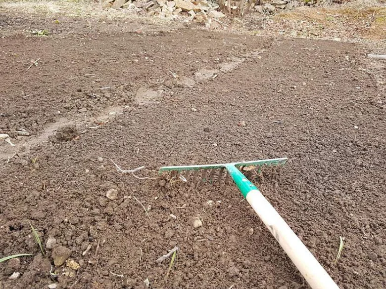 Zelena hrabka upravuje půdu v přírodní zahradě.