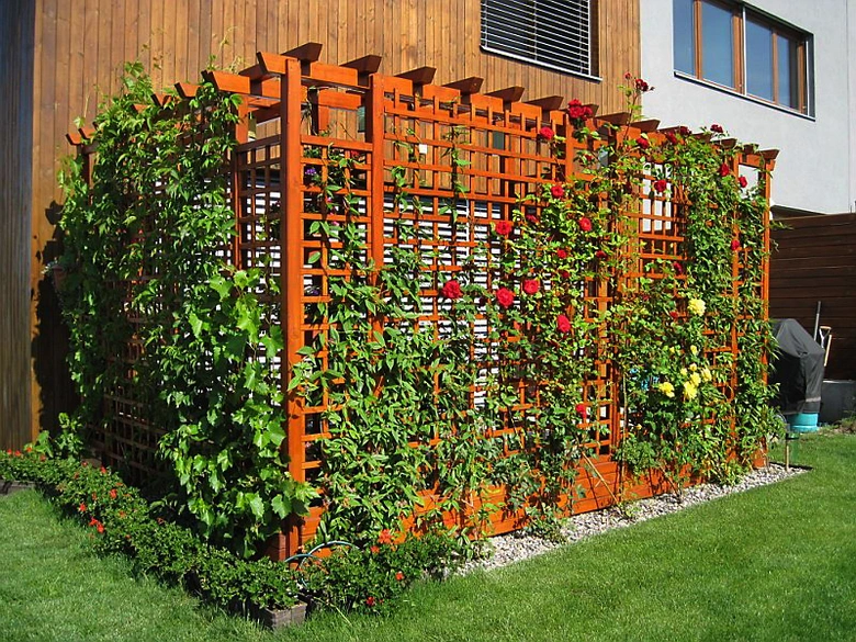 Pergola s popínavými rostlinami a květy