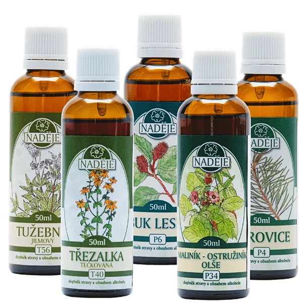 Herbal remedies for joint regeneration