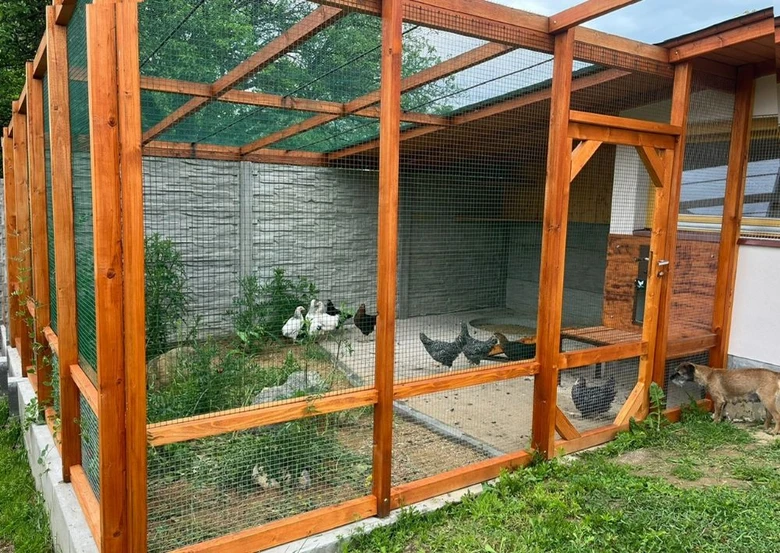 Kokety v dřevěném výběhu s trávníkem a rostlinami.