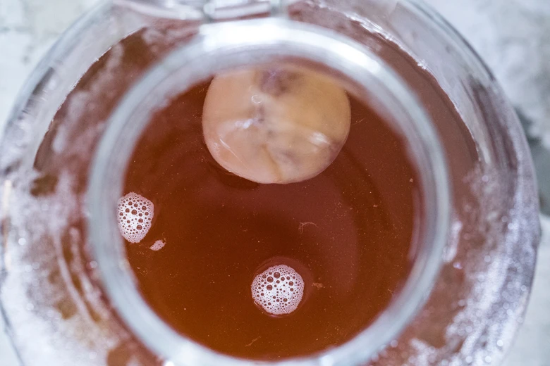 Kombucha v nádobě s plovoucím SCOBY