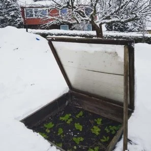 Chladný skleník chránící rostliny před sněhem v permakulturní zahradě.