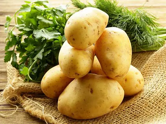 Žluté brambory s bylinkami na burlačině