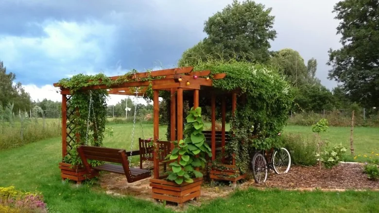 Pergola s popínavými rostlinami v zahradě