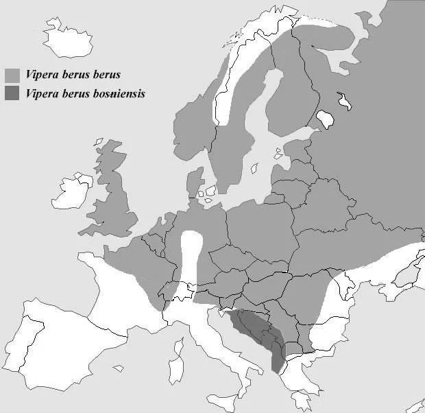 Mapa rozšíření druhů hada Viperu v Evropě