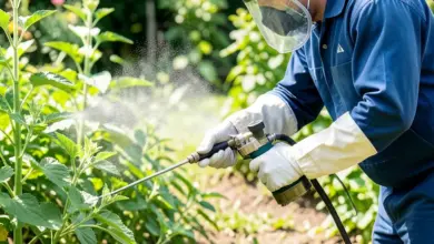 Jak vybrat a používat pesticidy - ilustrační foto