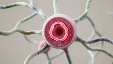 co je pepsin a jak funguje - Co je pepsin a - ilustrační foto