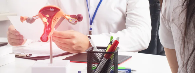 Lékař ukazuje ženský pohlavní orgánový model pacientovi.