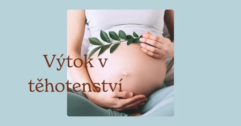 Těhotná žena drží ruce na svém břiše s listovou větvičkou.