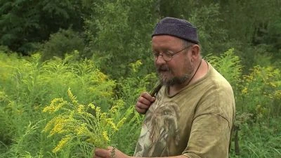 Muž zkoumá rostlinu v přírodě pro článek o invazních druzích.