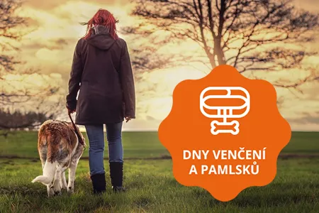 Žena s psem chodí po trávníku při západu slunce.