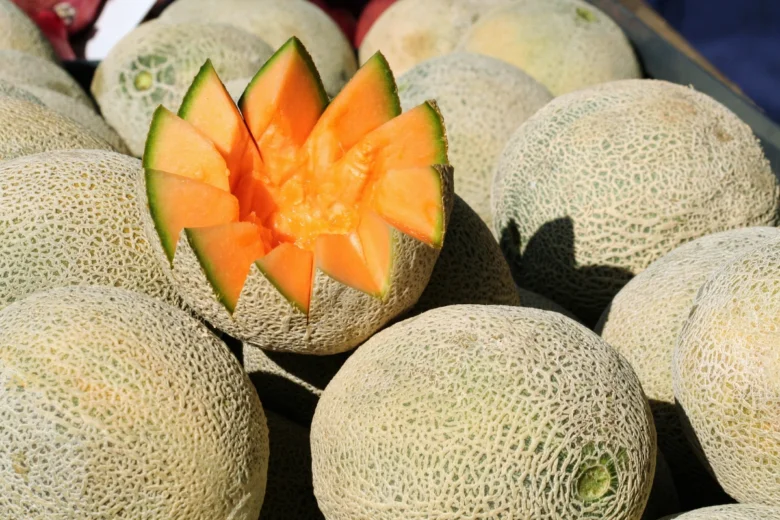 Kousek melounu cantaloupe s vyřezanými plátky v koši.