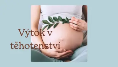 Těhotná žena drží ruce na břiše s větvičkou listů.