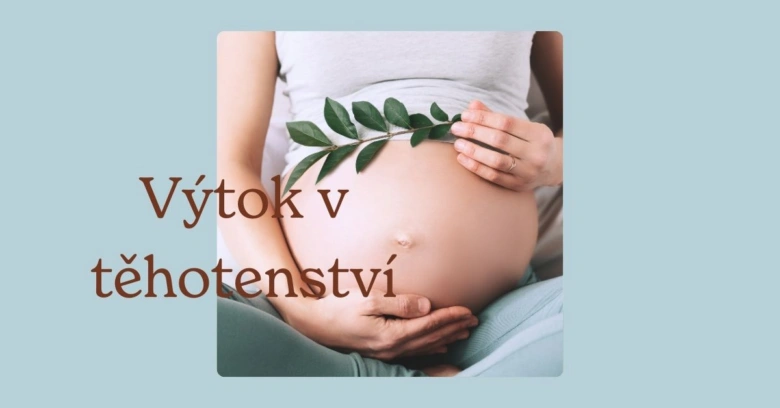 Těhotná žena drží ruce na břiše s větvičkou listů.