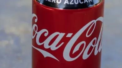 Kola bez cukru v plechovce s logem Coca-Cola.