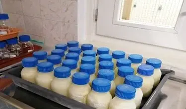 Tray s mnoha skleněnými nádobami mléka modrými víčky.