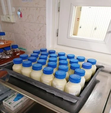 Tray s mnoha skleněnými nádobami mléka modrými víčky.