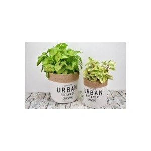 Dvě rostliny v textilních květináčích s etiketou Urban Botanic.