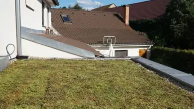 Green roof with grass and plants