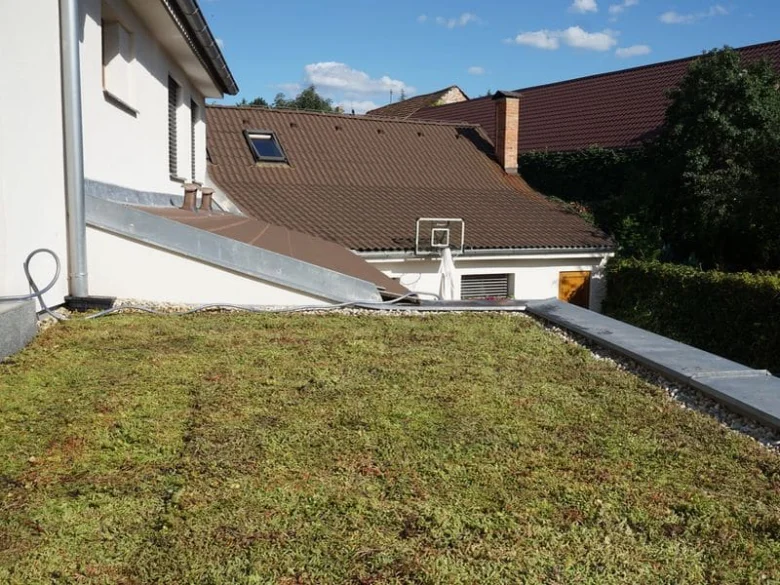 Green roof with grass and plants