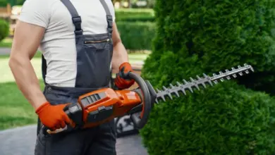 Muž s elektrickým nůží na stříhání túje na jaře.