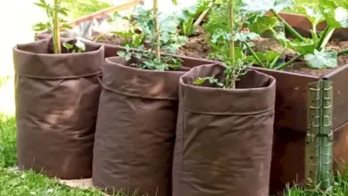 Tři textilní květináče s rostlinami na trávníku vedle dřevěného záhonu.